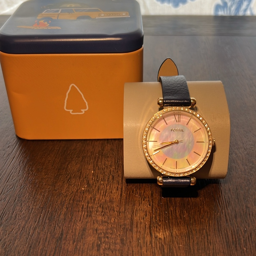 Fossil Gold and Navy Watch with Distinctive Design